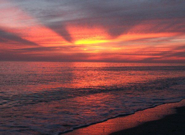 Click to See Next Image